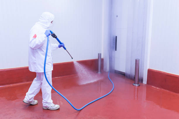 Best Post-Construction Pressure Washing  in Mosheim, TN